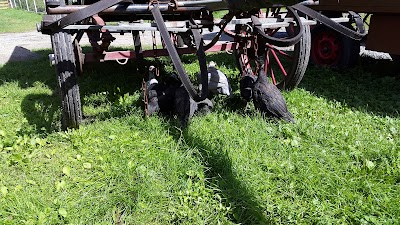 Photos of Kutsch- und Planwagenfahrten R&uuml;diger Hasenbalg