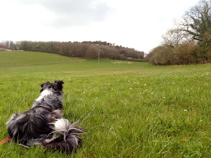 Photo n°3 de Les moutons de Manon à Chemin-d'Aisey (Ferme bio)