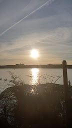 Photo n°16 de Camping Lou Pk2 à Sainte-Eulalie-en-Born (Réserve naturelle)