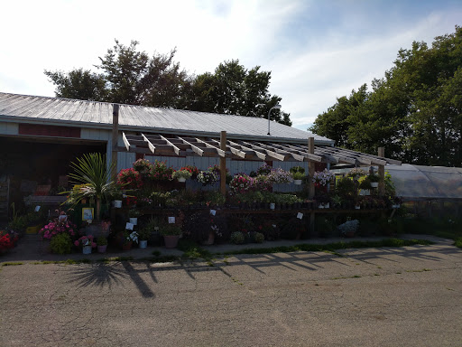 Poci Market - Thumbnail