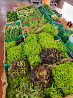 MAS ALEXANDRINE - Philippe DEBATTISTA - Maraîcher - Agriculture Biologique à Saint-Nazaire-de-Pézan