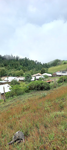 RANCHO VIEJO LA PERLA VER - Thumbnail