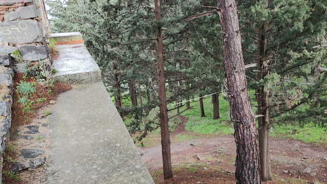 Opinii despre Κάστρο Λιβαδειάς în Λειβαδιά - Ένωση