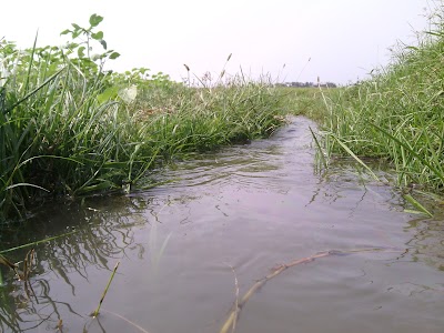Photos of Rajrajeshwar