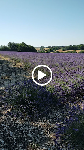Photo de La nouvelle vie en Quercy à Montaigu-de-Quercy (82150)