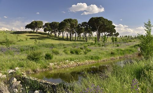 Valdebebas-Felipe VI Park - Thumbnail