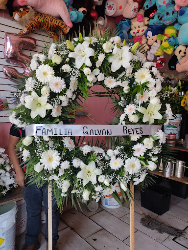 florería floryflor