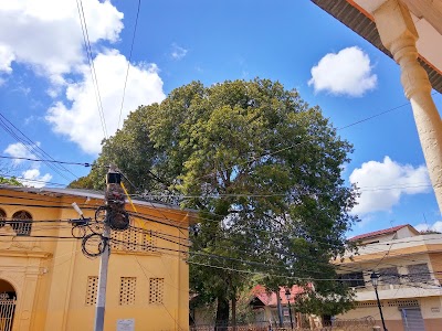 Photos of Escuela Experimental Emilio Prud'Homme