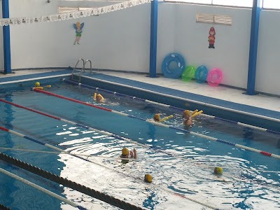 Photos of Colegio Nuevo Hidalgo