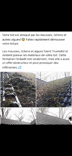 Artilegrain couvreur demoussage nettoyage façade peinture intérieur extérieur Angers brain sur l’authion - Thumbnail