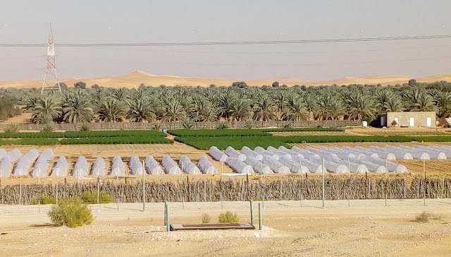 Liwa