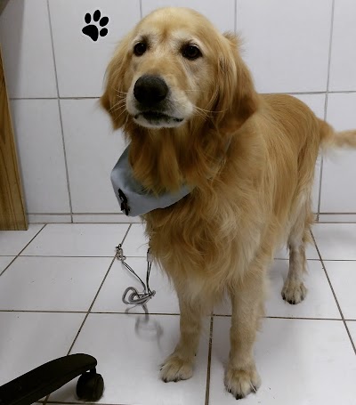 Photos of Doggy & Kitty