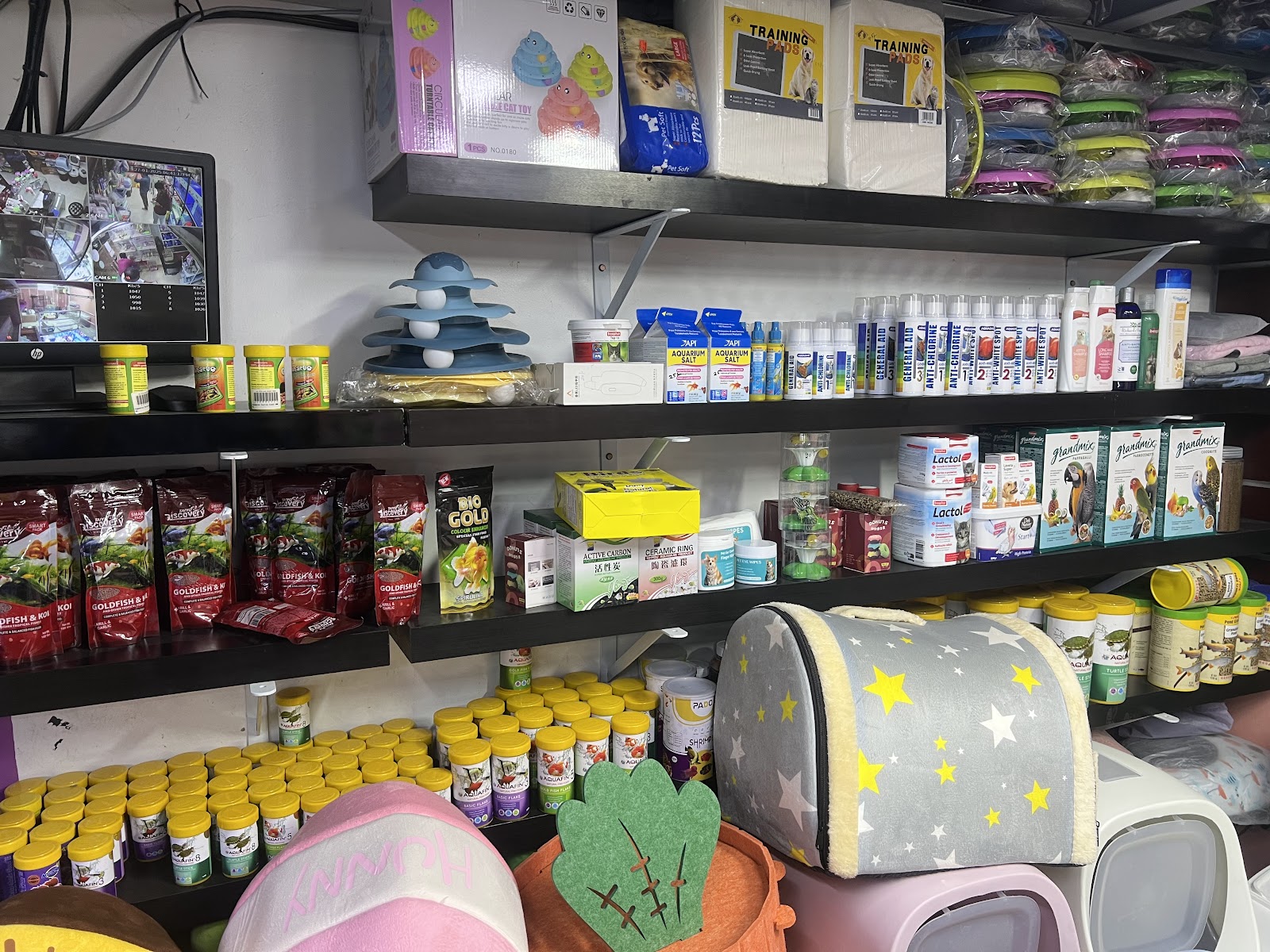 Animal Planet Ornamental Birds - صورة 3