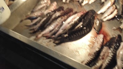 Photos of Square Fish
