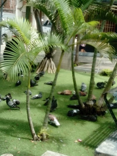 Photos of Parque Eloy Alfaro