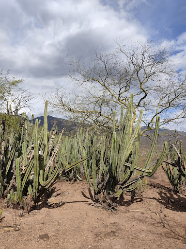 Zona arqueológica de Quiotepec - Thumbnail