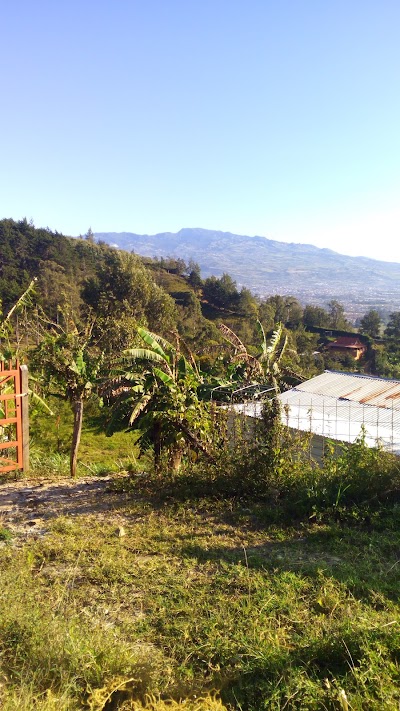 Photos of Plaza De Higuito