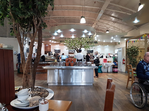 Dobbies Garden Centre Stockton - Thumbnail