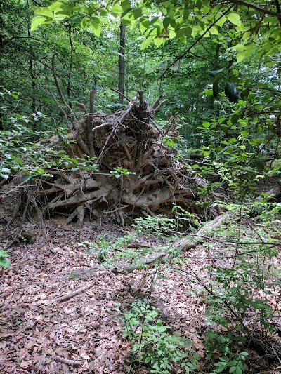 St Marys River Watershed Park