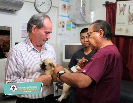 Veterinaria Madero