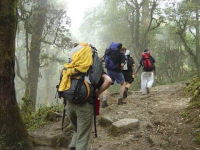 Photos of Sauraha Homestay(Nepal)
