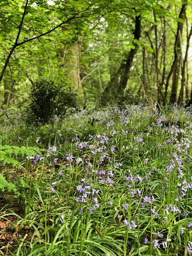 The Little silver Stream Wild Camping - Thumbnail