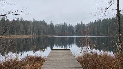 Holzweiher - Visual