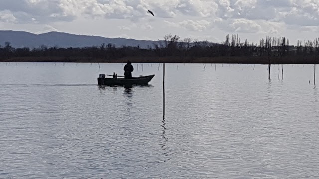Parco di Villa Solaria