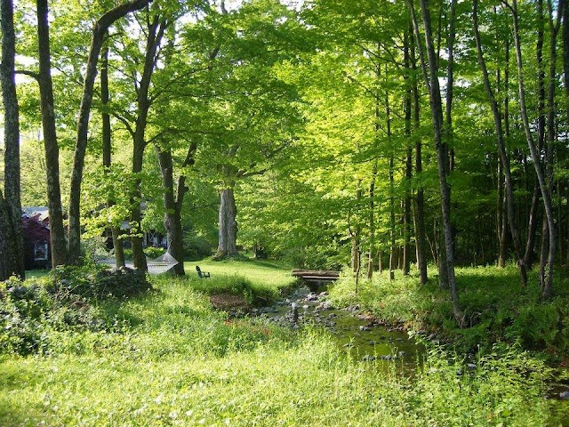 Race Brook Lodge