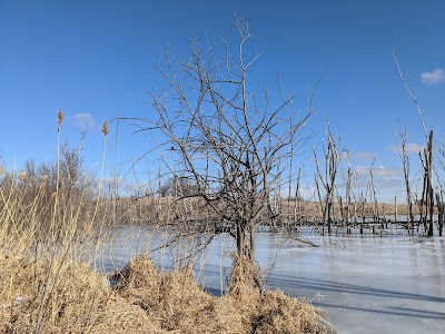 Lost Grove Lake Wildlife Management Area