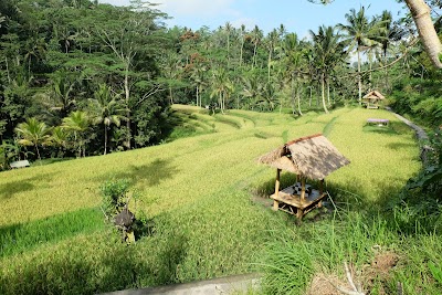 Photos of Gunung Kawi Temple