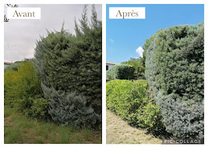 Photo n°6 de Dumas Jardins à Montpellier (Jardinier)