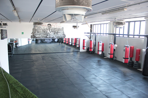 Fighters Factory ASD - Thumbnail