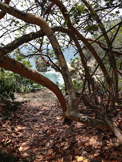 Photos of Archers Bay