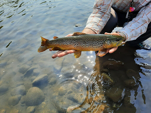 Sweetwater Fishing Expeditions - Thumbnail