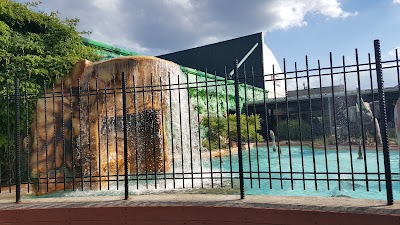 Photos of Jungle Jim's International Market