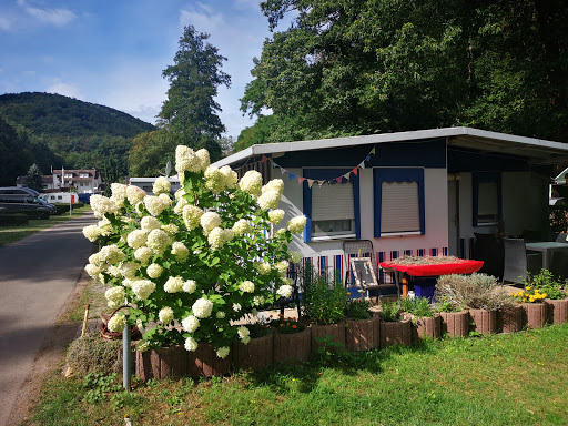 Campingplatz Wachenheim - Thumbnail