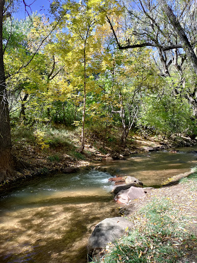 Fields Park - Thumbnail