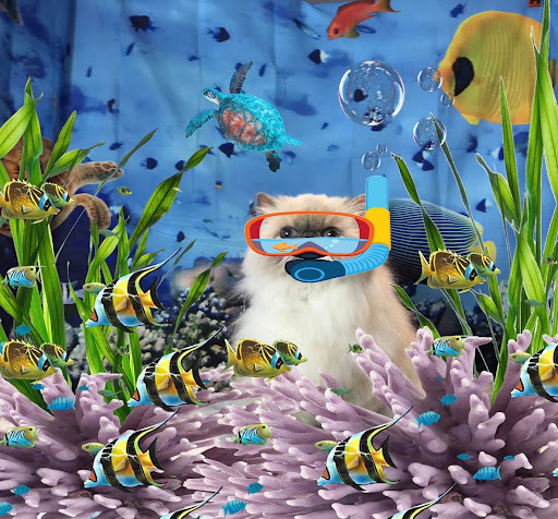 Barks -n- Meows Pet Grooming Spa and Gift Shop - Thumbnail