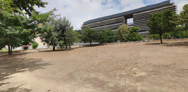 Faculdade de Ciências da Universidade de Lisboa