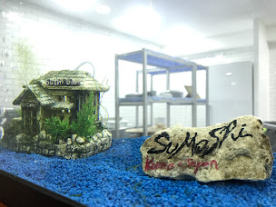 Photo n°68 de SUMOSHI Coréenne Japonais Bubble_tea à Salon-de-Provence (Restaurant de sushis)