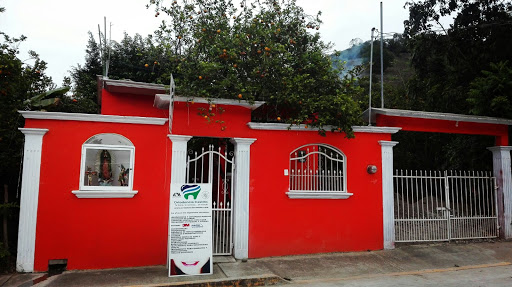 Ortodoncia Castillo