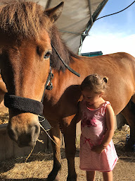 Photo n°3 de PONEY CLUB DE PALOUMEY à Ludon-Médoc (Centre équestre)