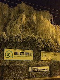 Photo n°6 de Escargots Fermiers Raches à Râches (Ferme)