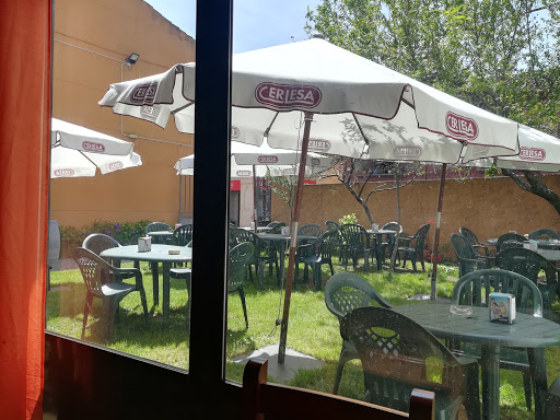 La Taberna de Gelo - Visual