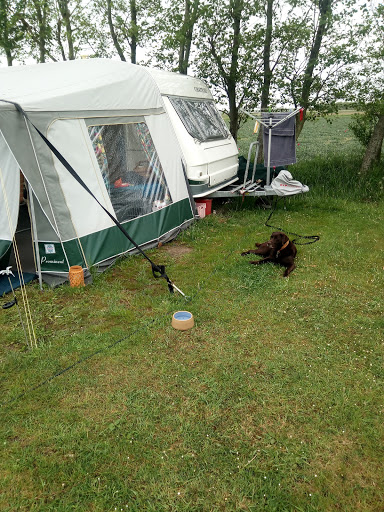 Camping Zonnehoeve Camping Zonnehoeve - Thumbnail