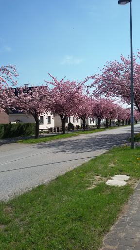 Club am Südring - Thumbnail