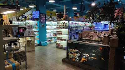 Chew Thean Yeang Aquarium Sdn Bhd Selatan Penang 60 4 638 3282