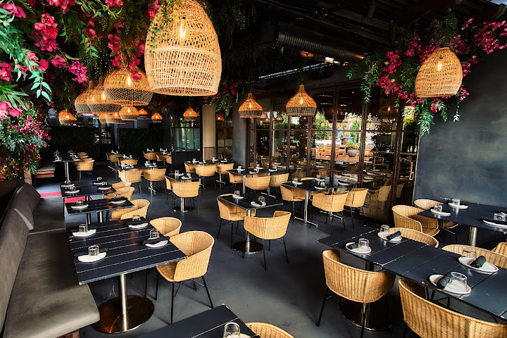 Paloma Venice by null