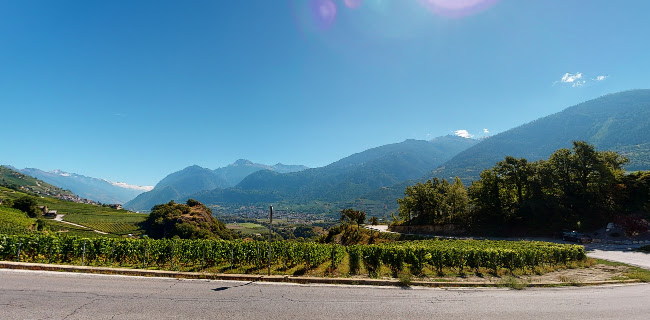 Clos de Tsampéhro - Bioladen